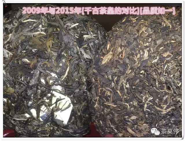 新品上市【千古茶皇】